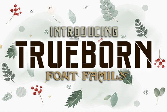 An Expert Review of the Trueborn Display Font